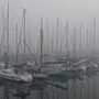 Brume matinale à notre départ