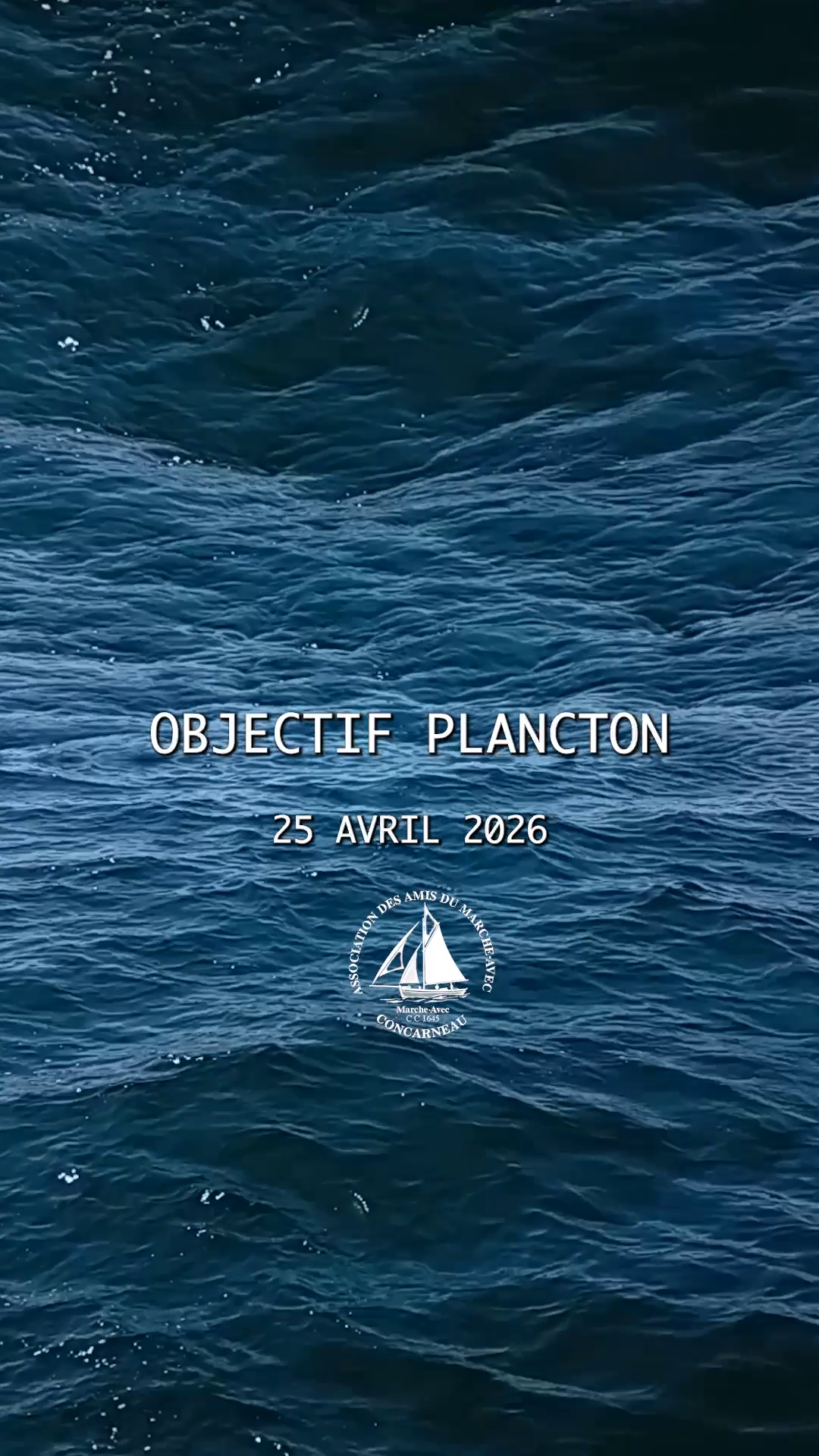 Impossible de lire la video